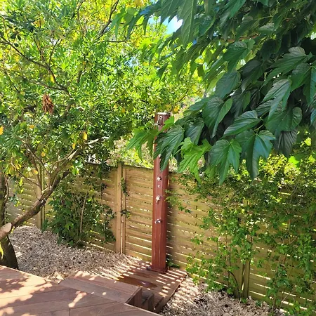 Agreable Climatisee Avec Piscine, 12 Personnes Holiday home Arcachon